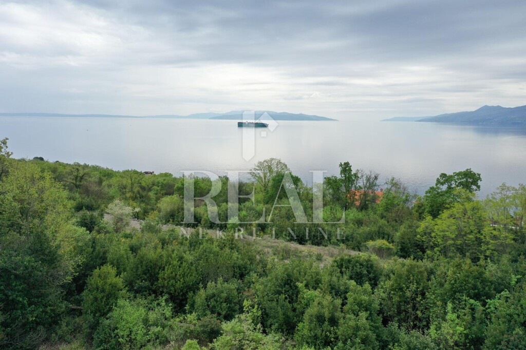 Image 6152419 - 7