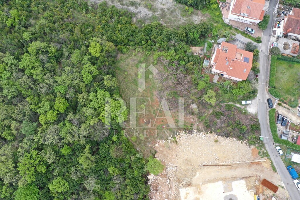Image 6152419 - 1