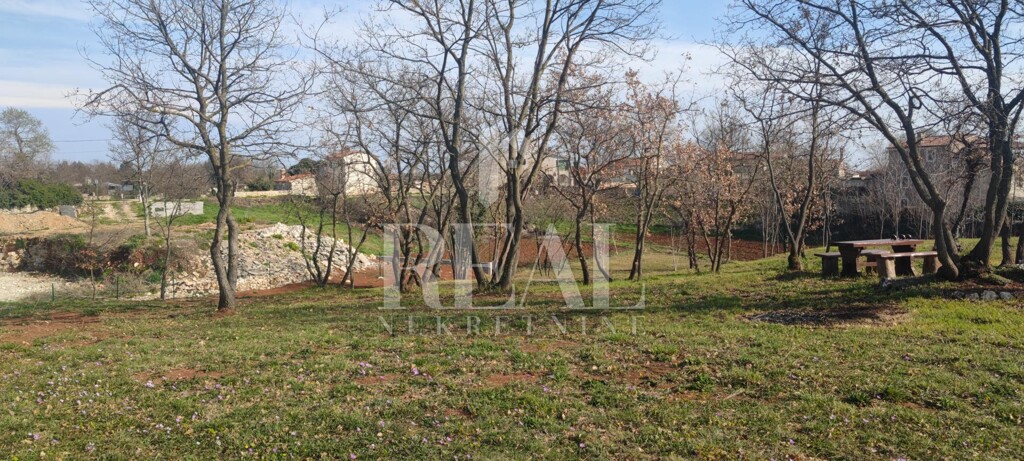 Image 6152451 - 1