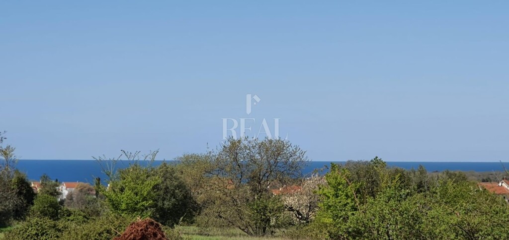 Image 6152462 - 4