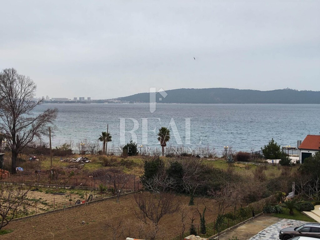 Image 6152502 - 1