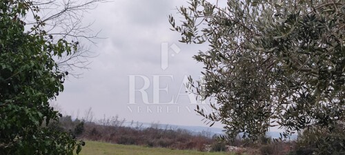 Thumbnail 6152507 - 2