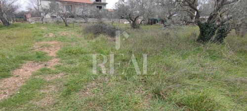 Thumbnail 6152507 - 3
