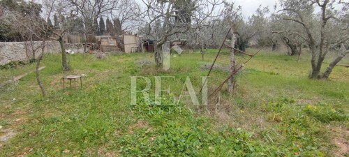Thumbnail 6152507 - 6