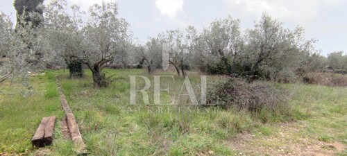 Thumbnail 6152507 - 4