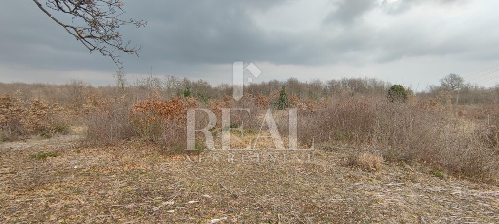 Image 6152508 - 5