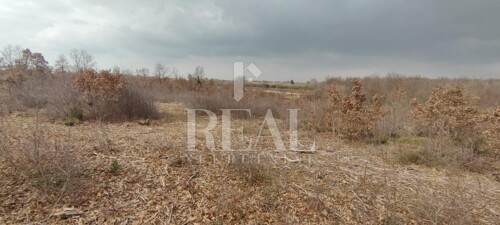 Thumbnail 6152508 - 4