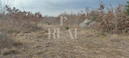Thumbnail 6152508 - 2