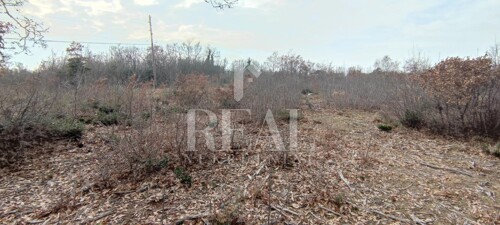 Thumbnail 6152508 - 3
