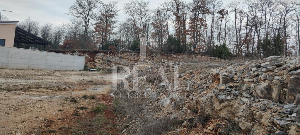 Image 6152510 - 3