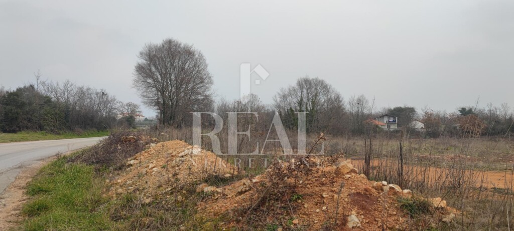 Image 6152518 - 3