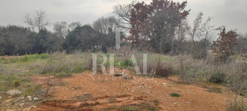 Thumbnail 6152518 - 2