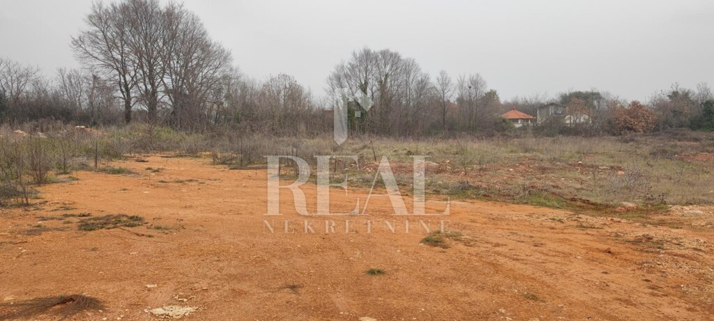 Image 6152518 - 7