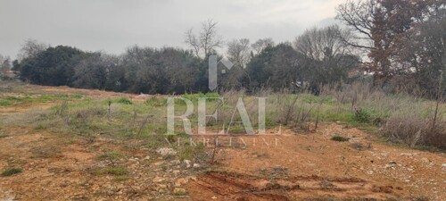 Thumbnail 6152518 - 1