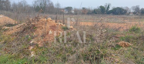 Thumbnail 6152518 - 5