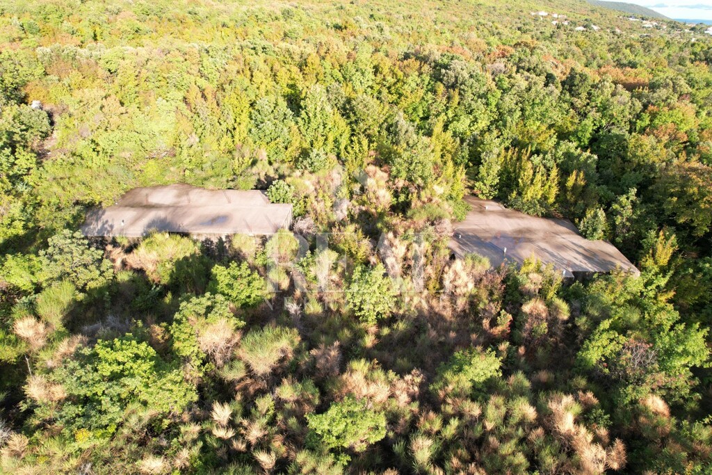 Image 6152550 - 14