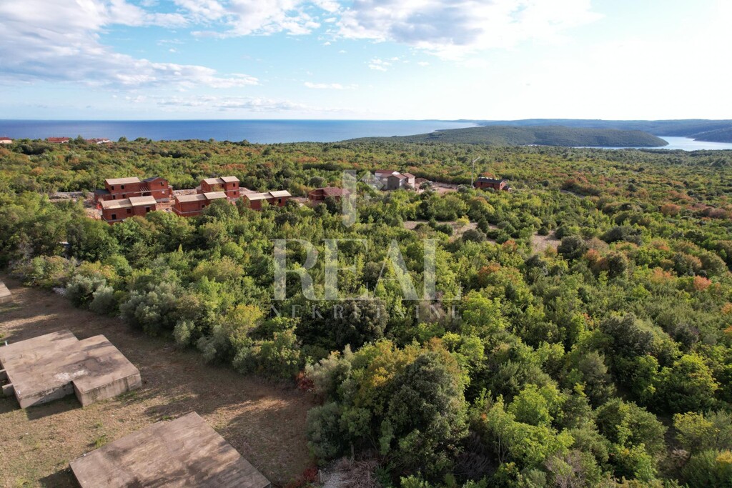 Image 6152550 - 1