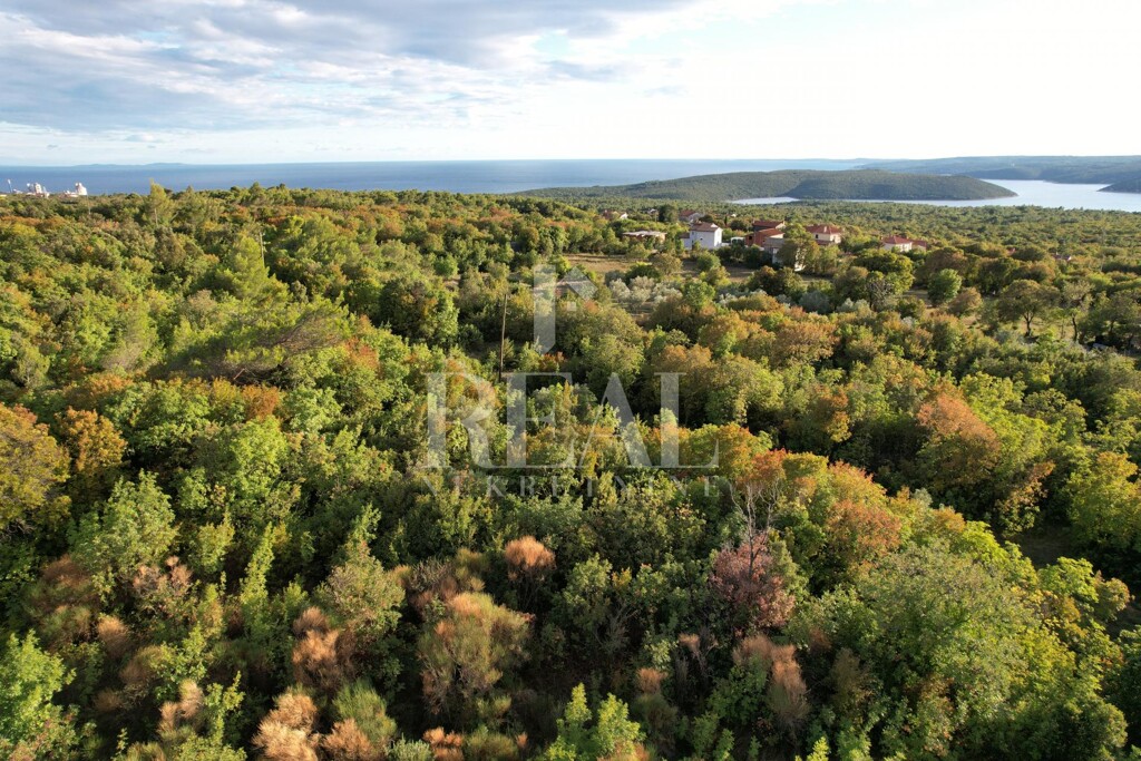 Image 6152551 - 3