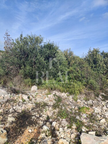 Thumbnail 6152561 - 5