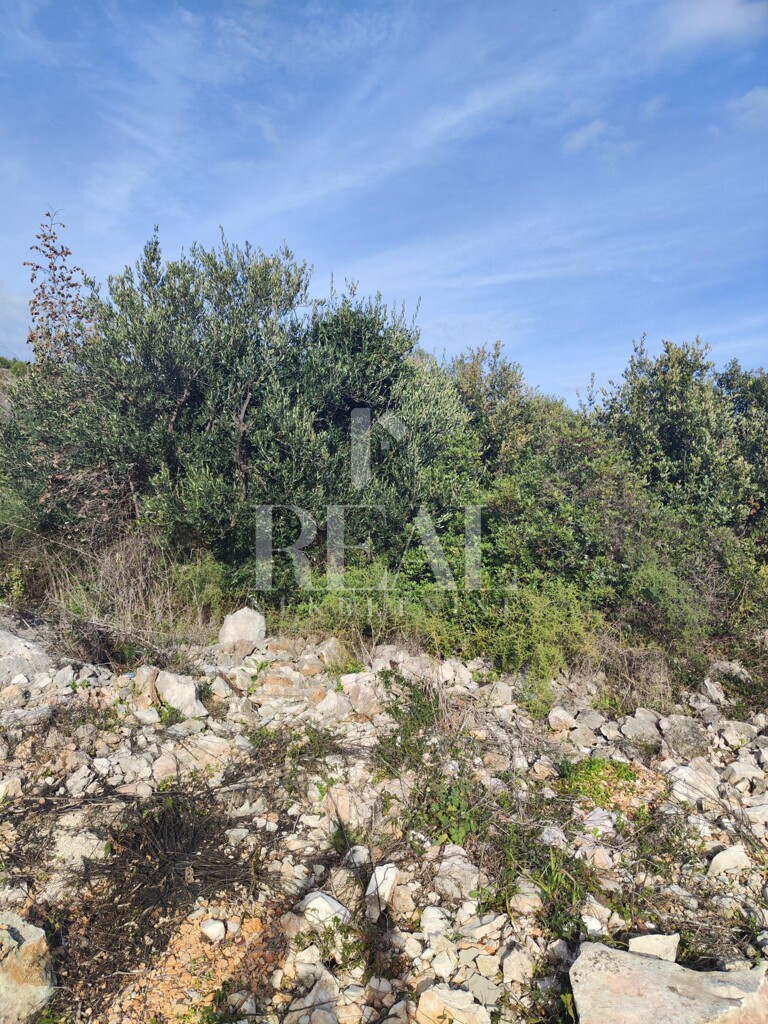 Image 6152561 - 5