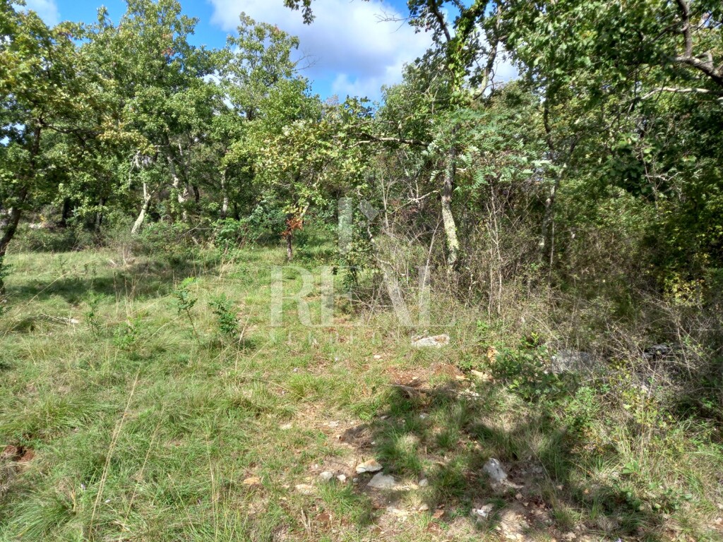 Image 6152672 - 5