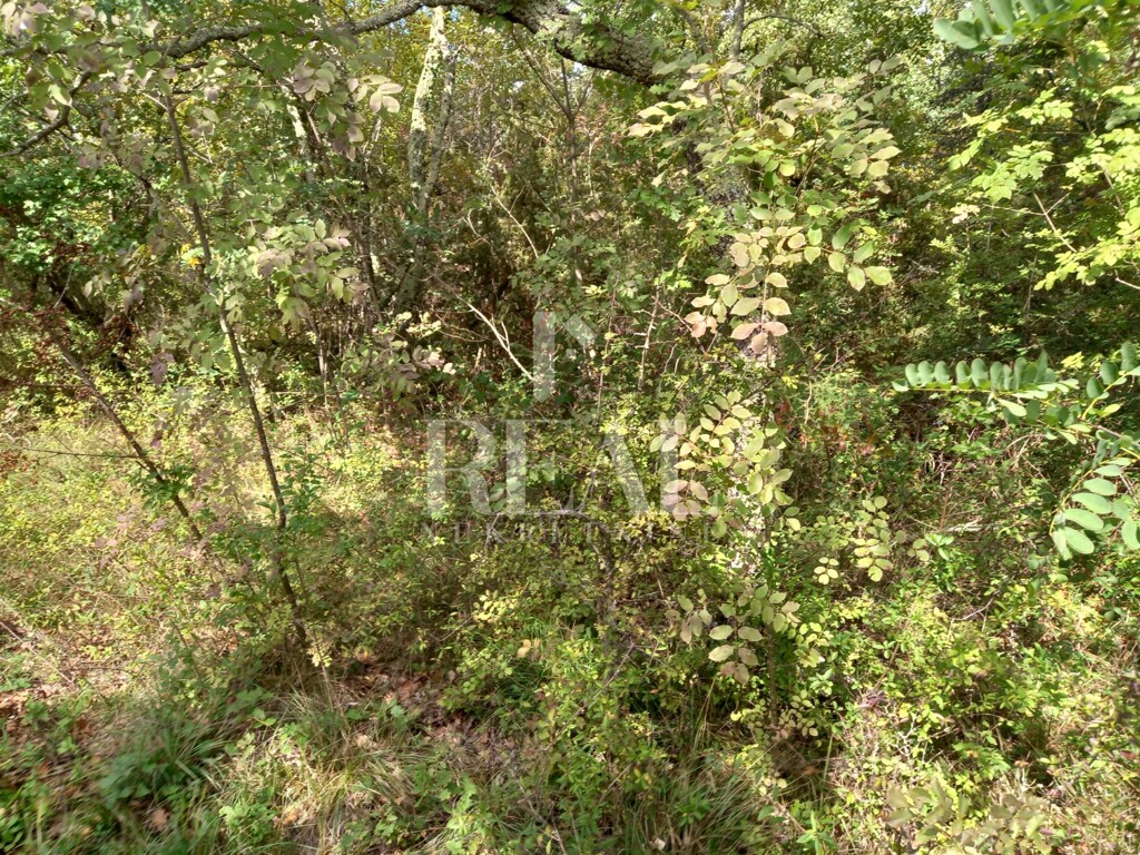 Image 6152672 - 2