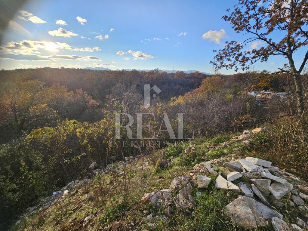 Image 6152680 - 6