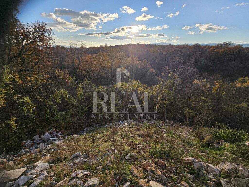 Image 6152680 - 5
