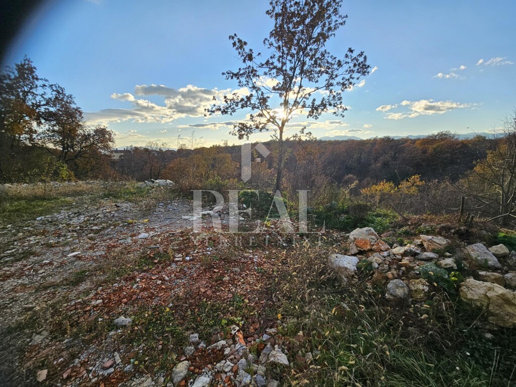 Image 6152680 - 4
