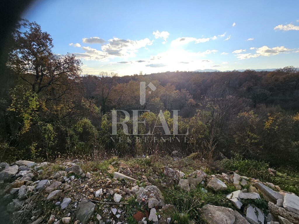 Image 6152680 - 1