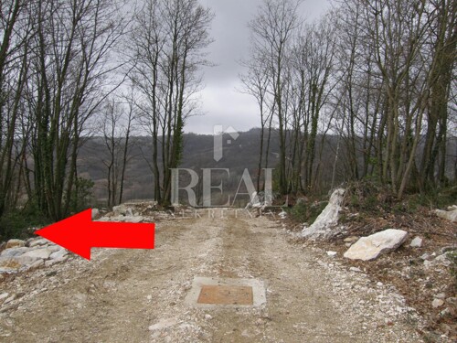 Thumbnail 6152702 - 10