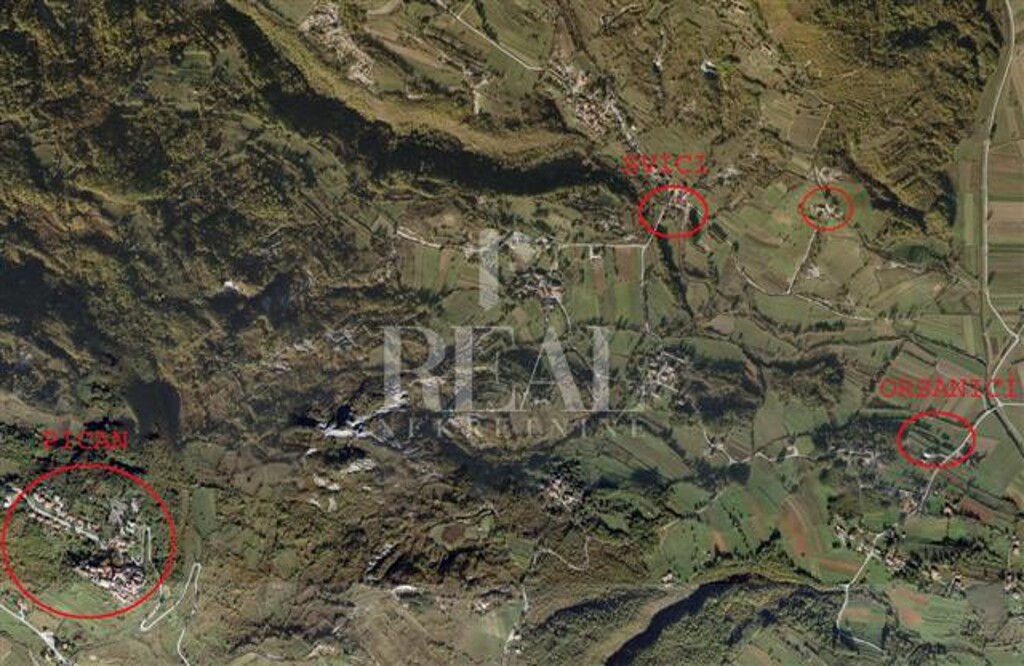 Image 6152702 - 13