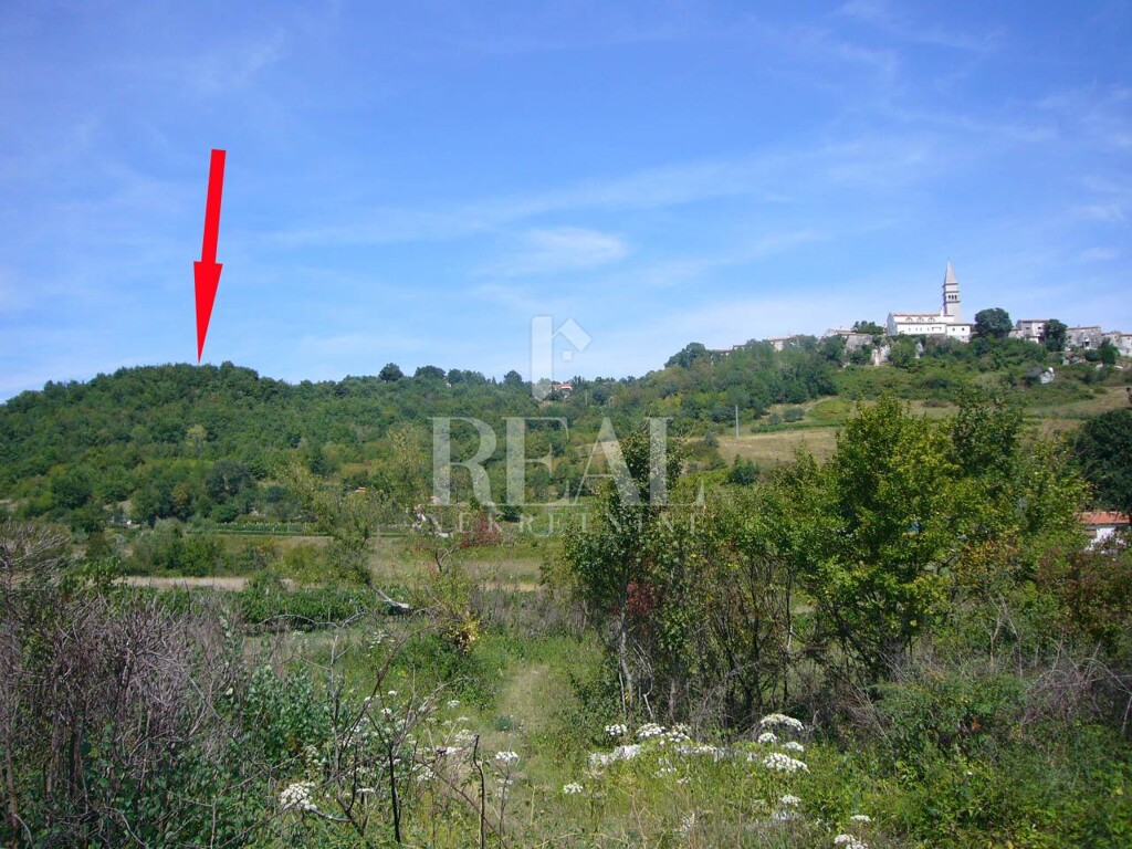 Image 6152702 - 1