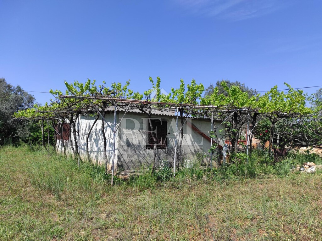 Image 6152718 - 4