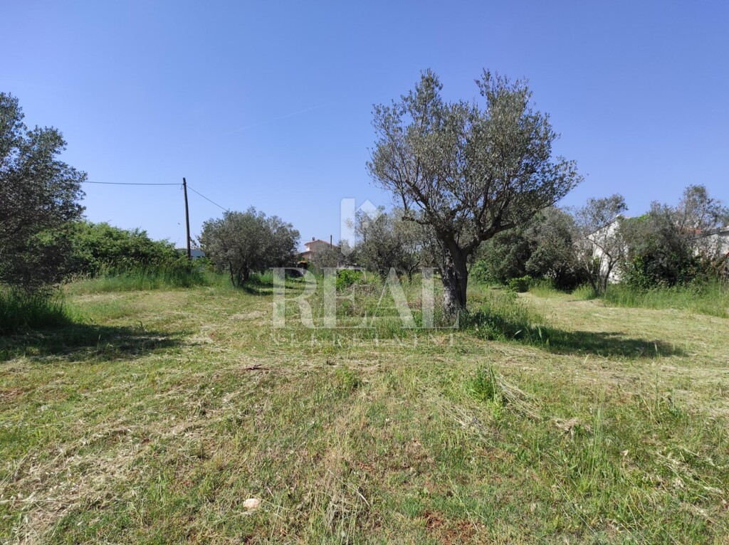 Image 6152718 - 9