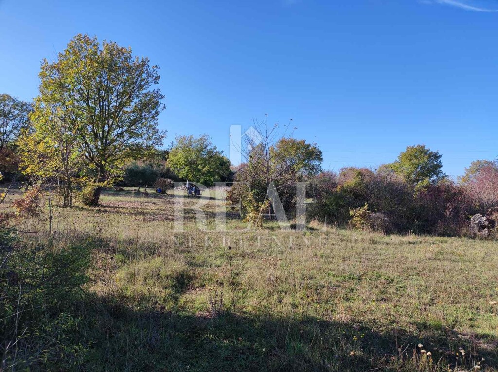 Image 6152724 - 4