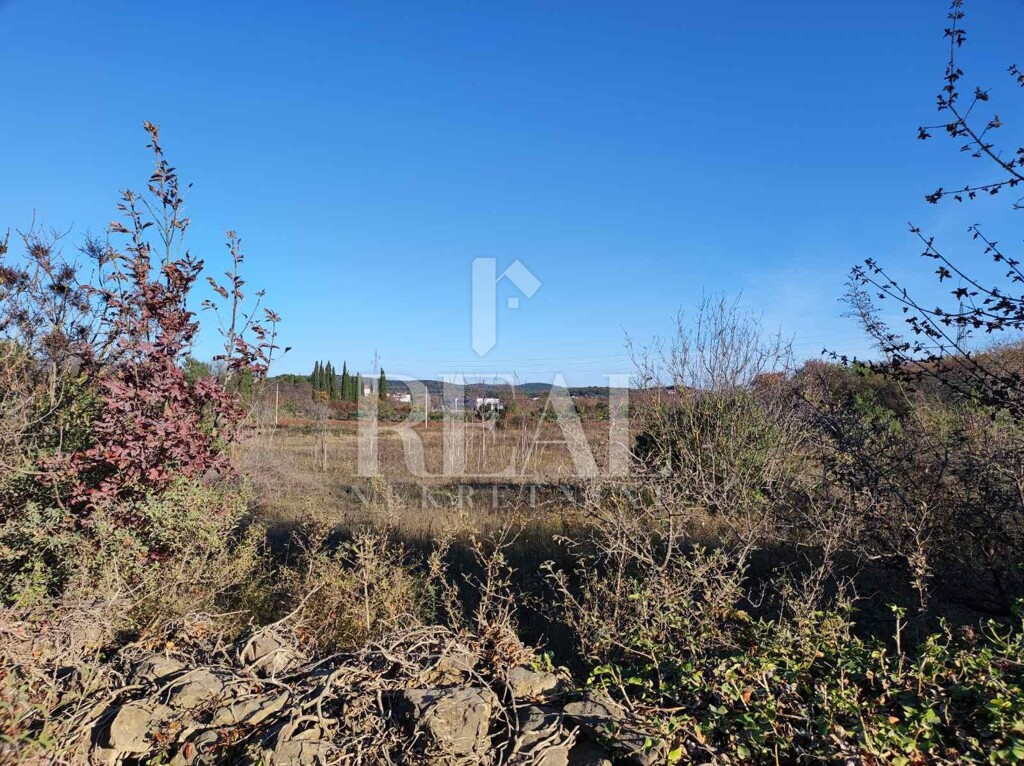 Image 6152725 - 3