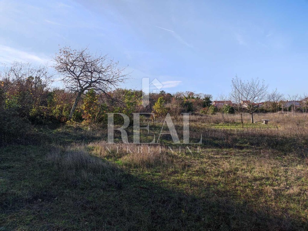 Image 6152725 - 9