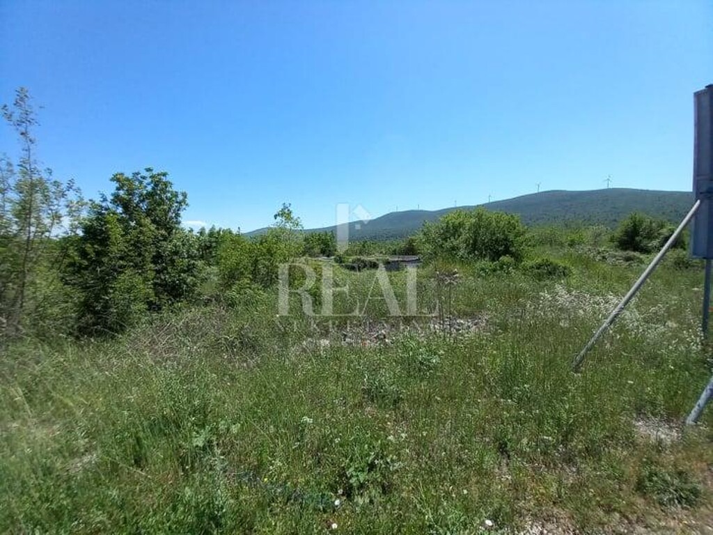 Image 6152749 - 5