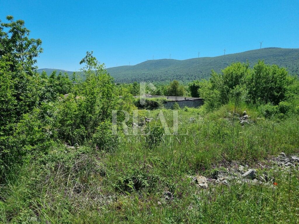 Image 6152749 - 3