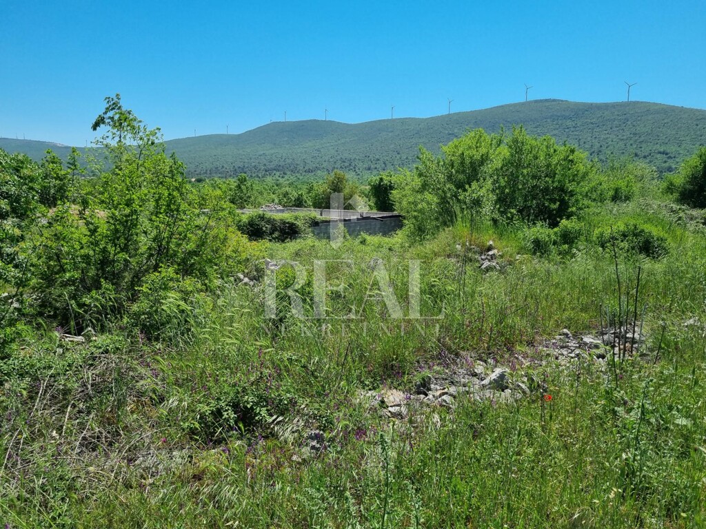 Image 6152749 - 2