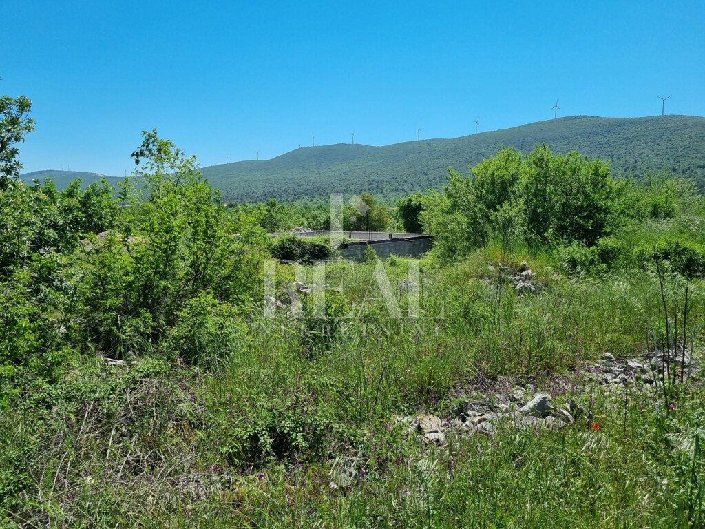 Image 6152749 - 1