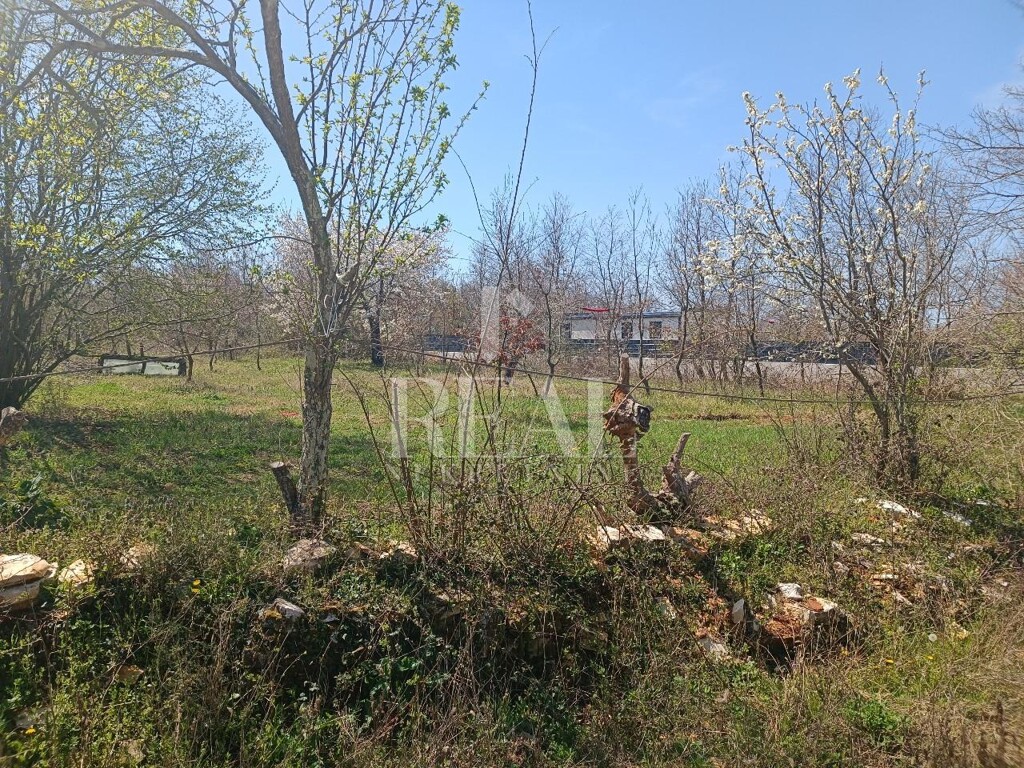 Image 6152777 - 2