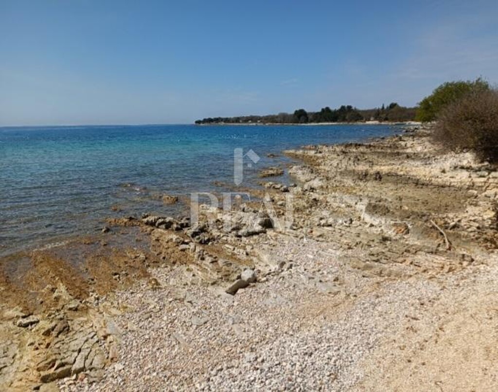 Image 6152777 - 3