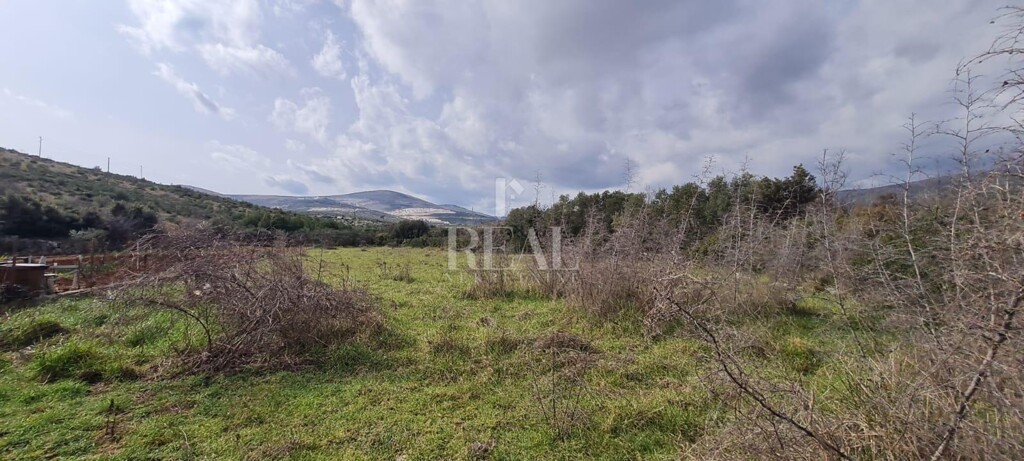 Image 6152801 - 3