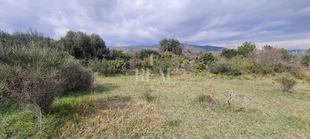 Image 6152801 - 4