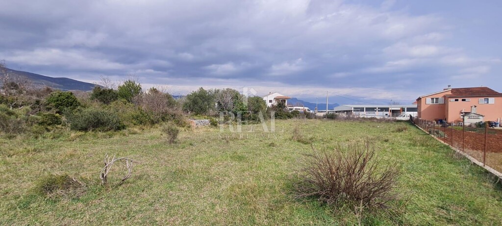 Image 6152801 - 5