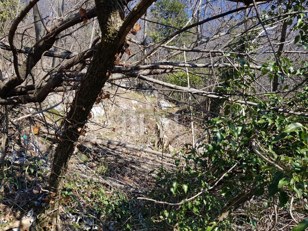 Image 6152847 - 4