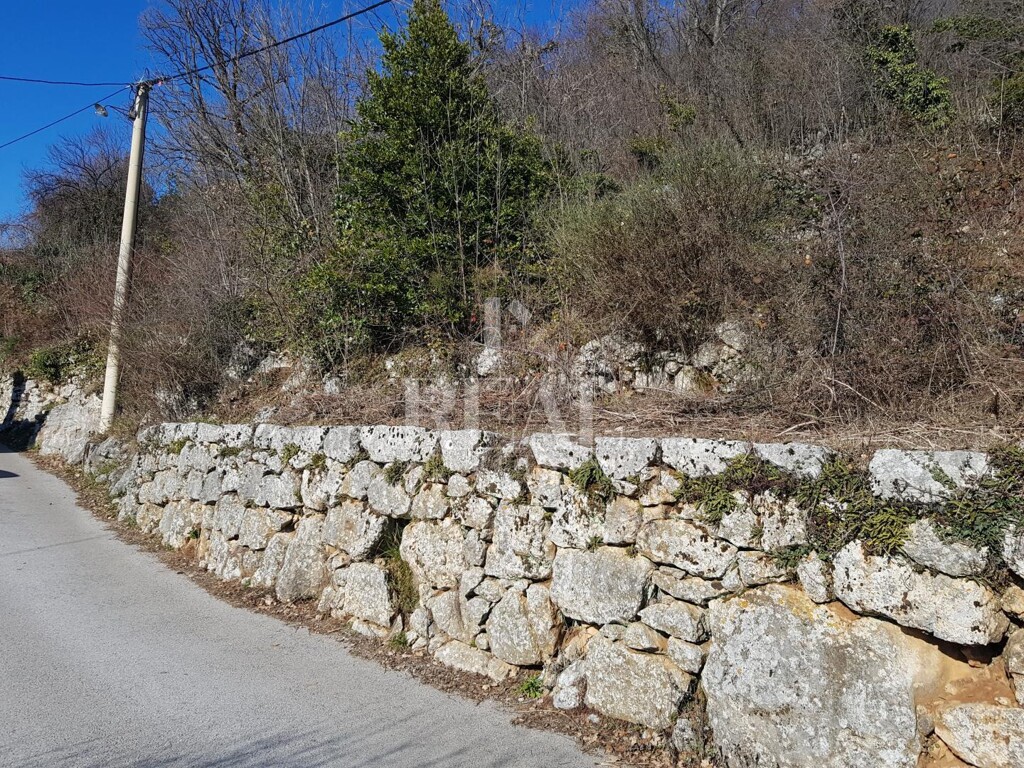 Image 6152847 - 3