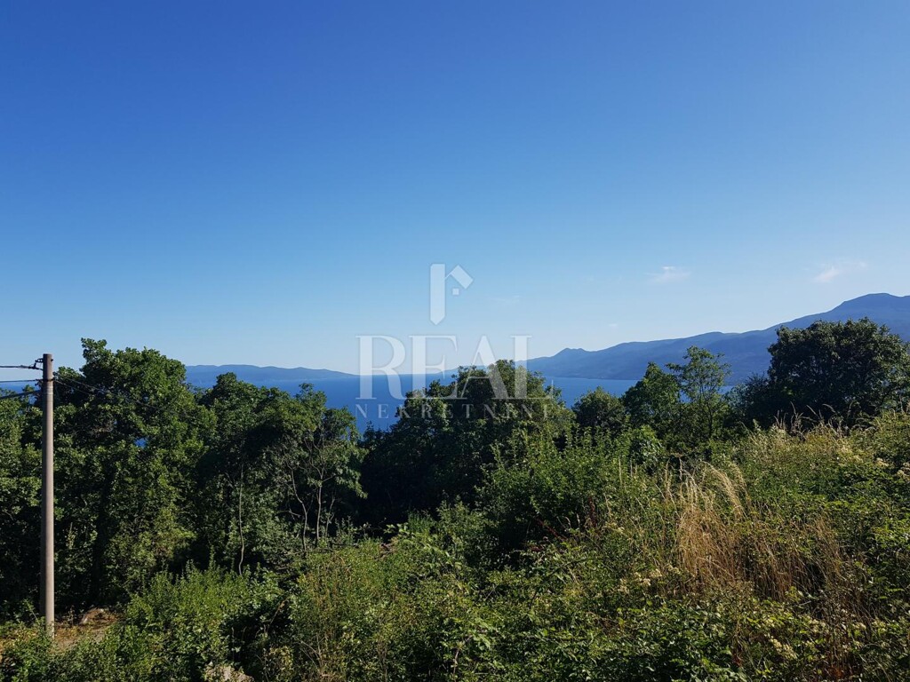 Image 6152893 - 1